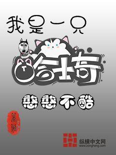 我的姐姐很弟控